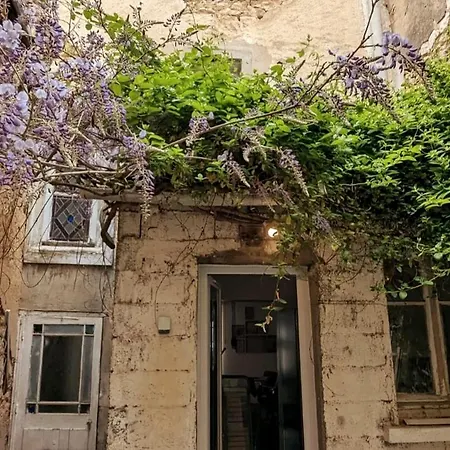 Villa Le St-hilaire, House In The Center With Patio With Parking Poitiers